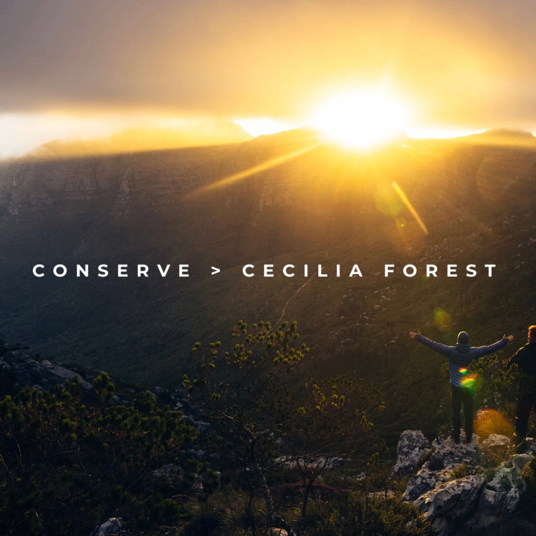 CONSERVE > CECILIA FORREST